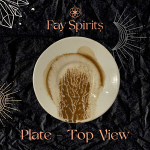 Fay Spirits - Service, Coffee Ground Reading, Plate Top View Capture